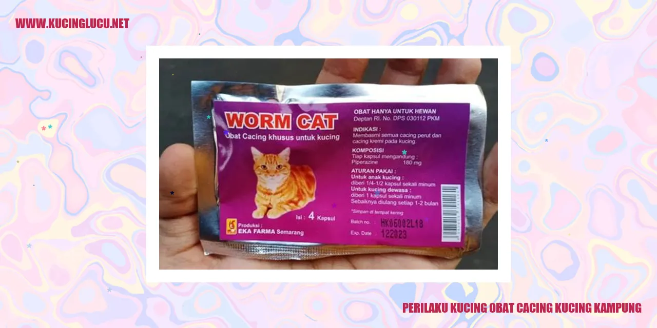 Gambar kucing kampung