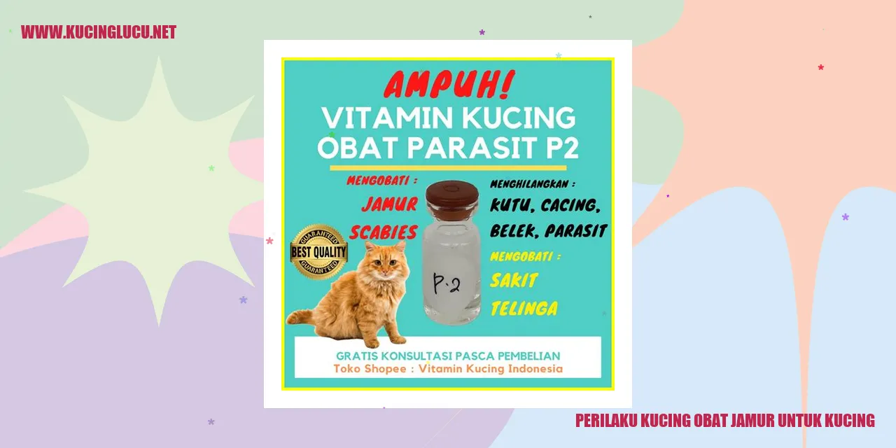 Perilaku Kucing Menggunakan Obat Jamur