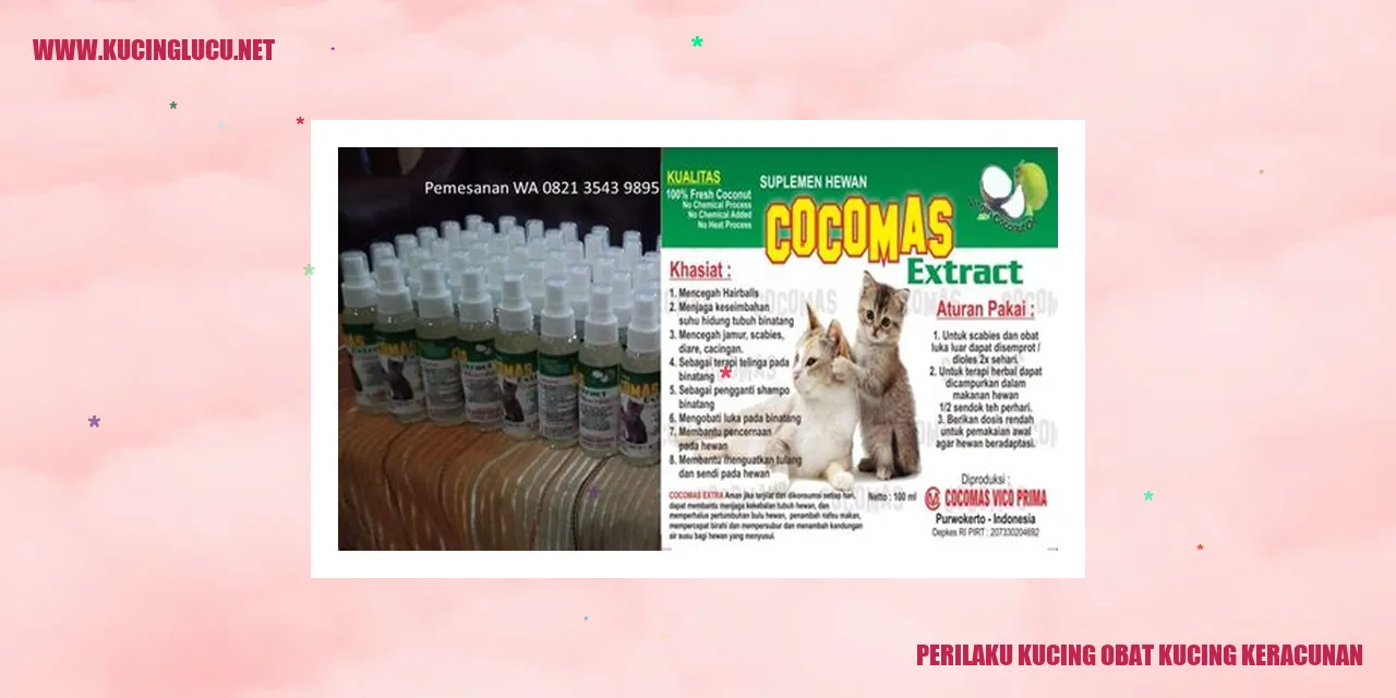 Perilaku Kucing obat kucing keracunan