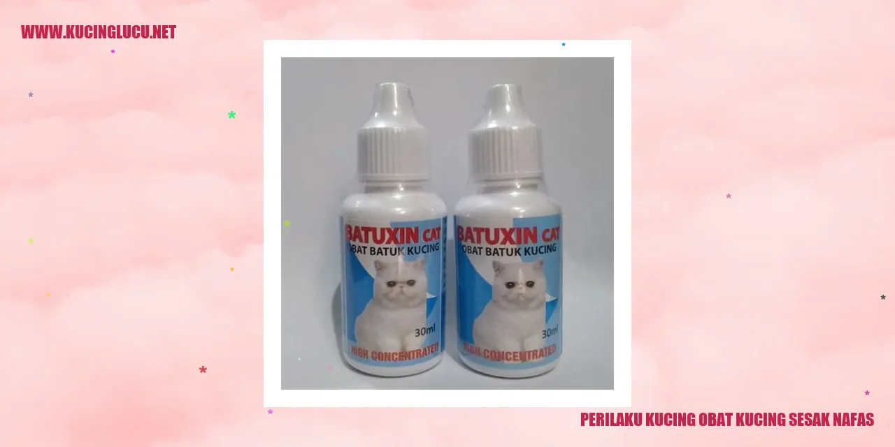 Kucing Mengalami Sesak Nafas