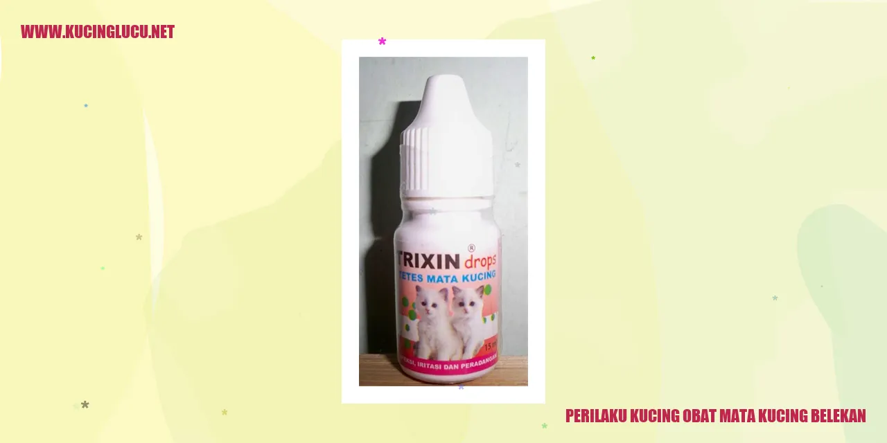 Kucing saat mengusap matanya