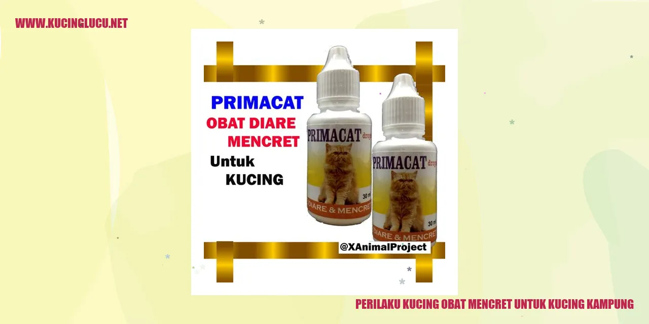 Perilaku-Kucing-Obat-Mencret-Kucing-Kampung