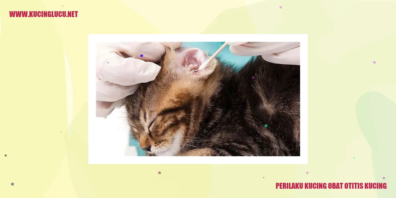 Kucing Mengatasi Otitis Kucing