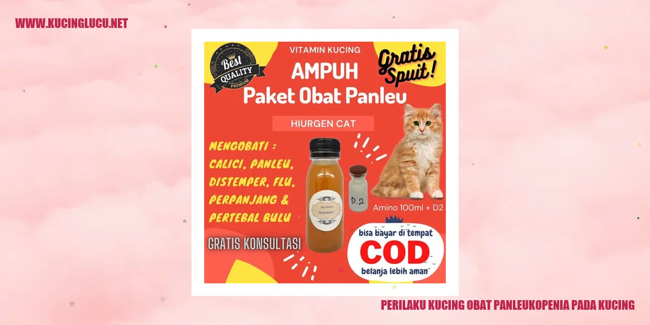 Perilaku Kucing obat panleukopenia pada kucing