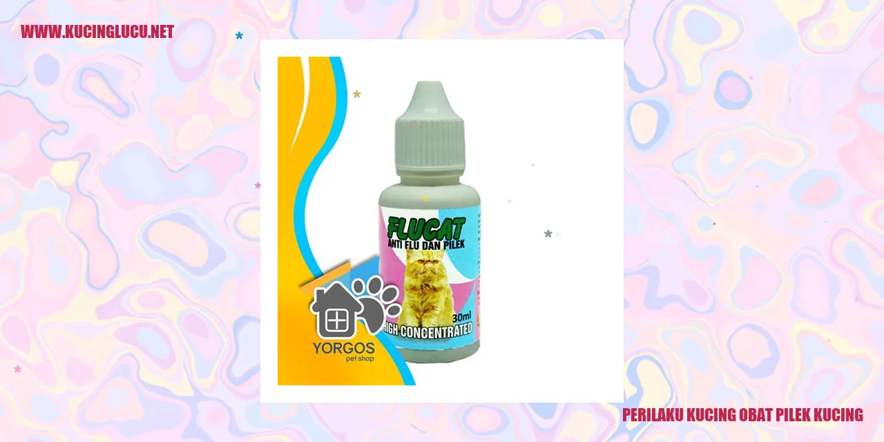 Perilaku Kucing obat pilek kucing
