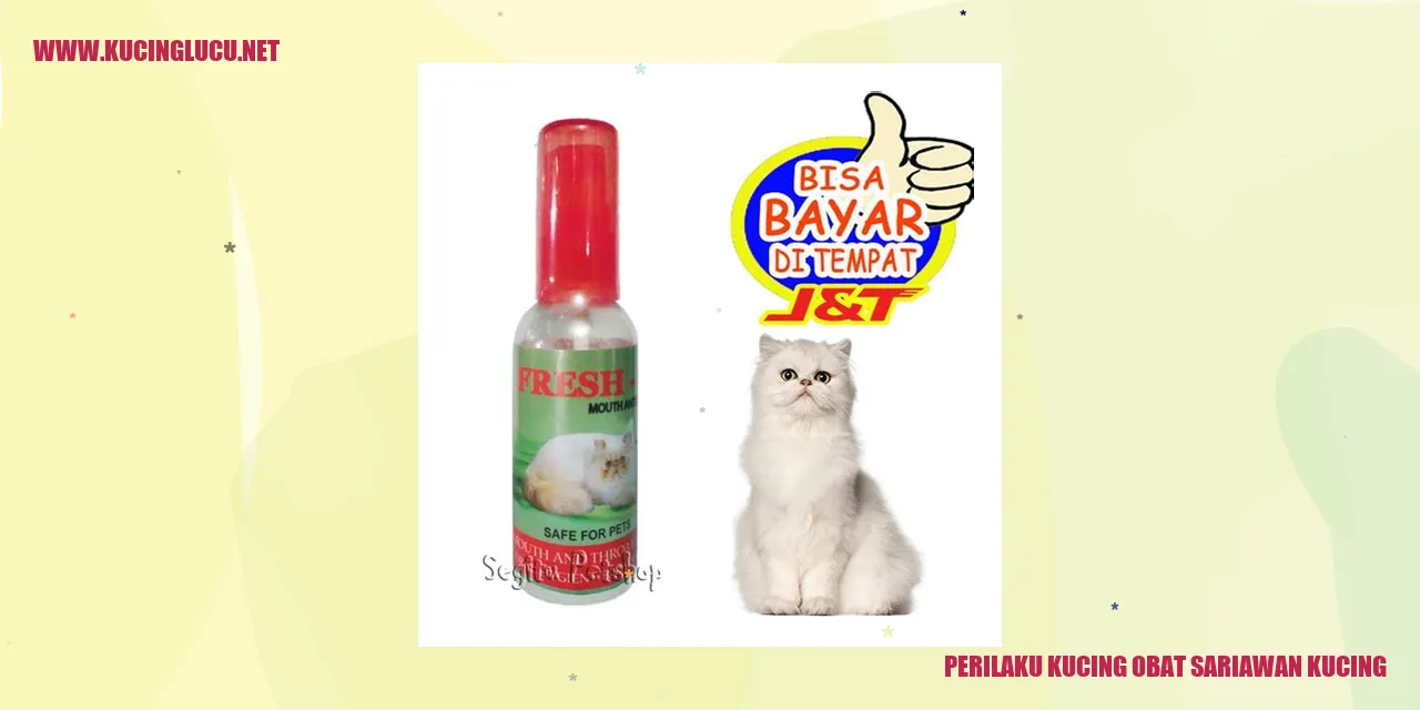 Perilaku Kucing obat sariawan kucing