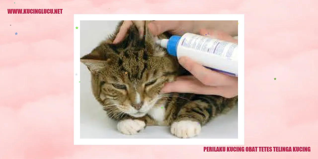 Perilaku Kucing obat tetes telinga kucing