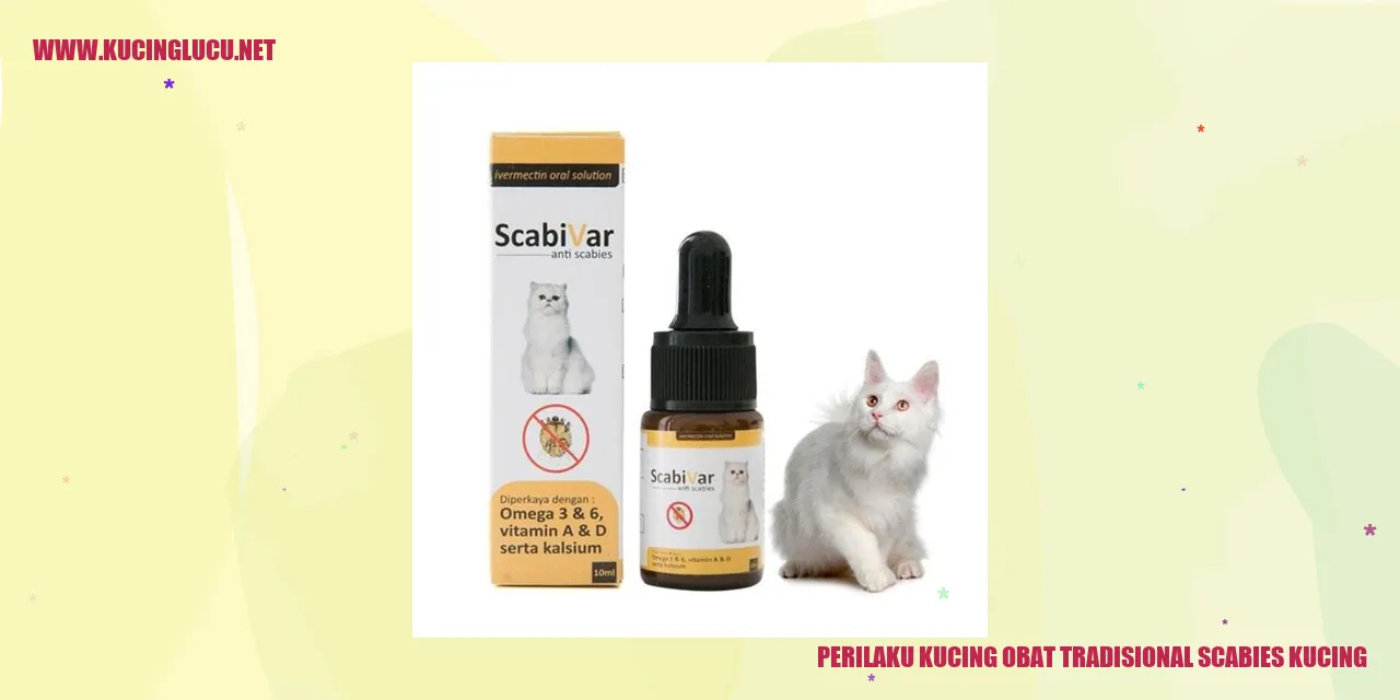 Perilaku Kucing obat tradisional scabies kucing