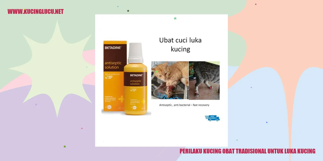 Perilaku Kucing obat tradisional untuk luka kucing