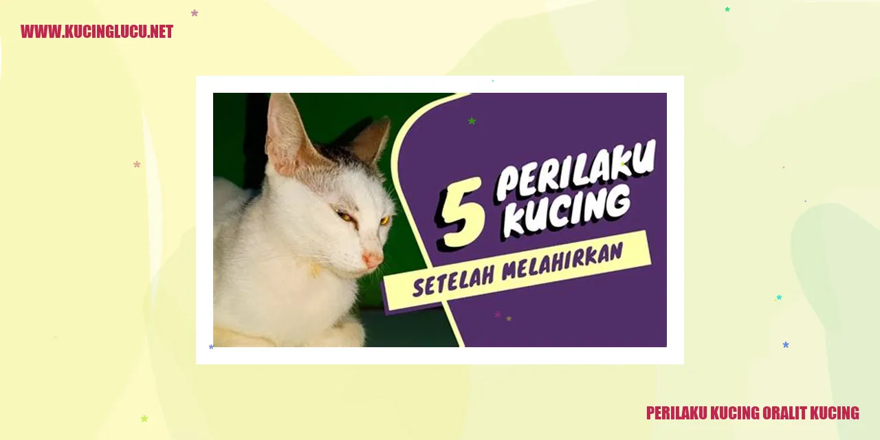 Kucing sedang merayapi badannya