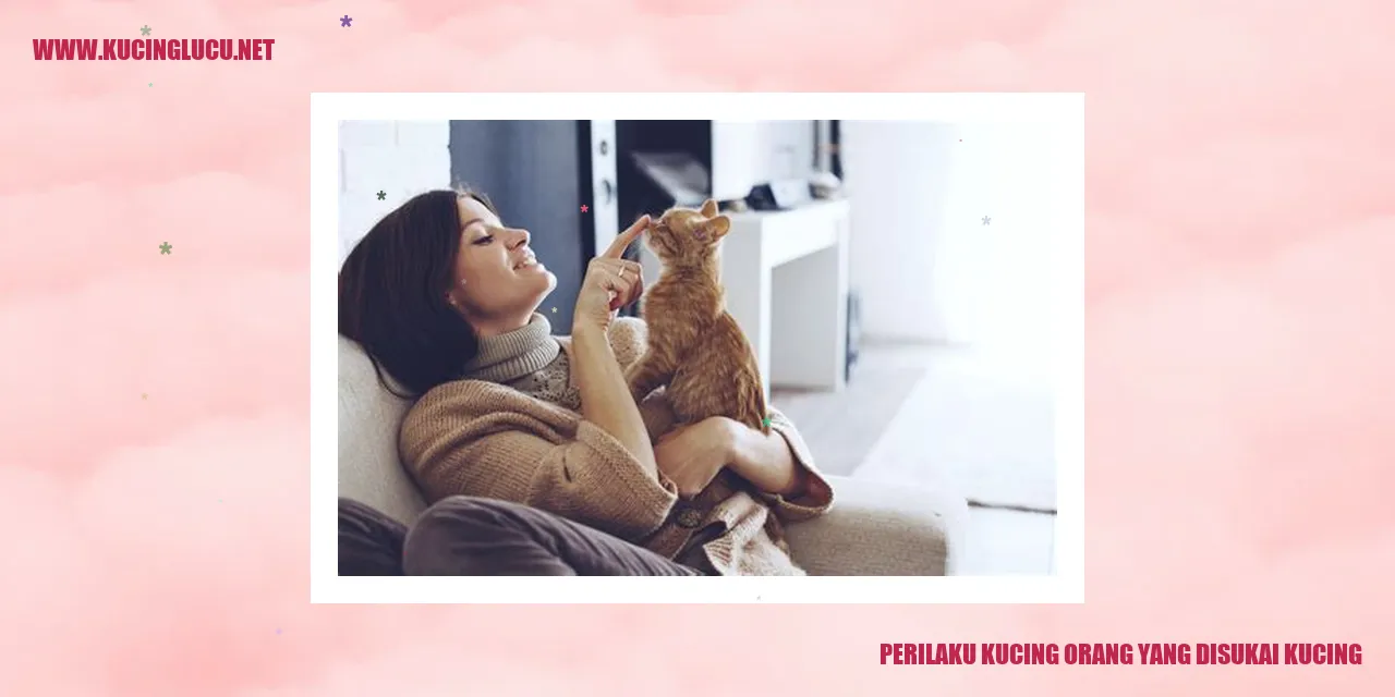 Perilaku Kucing