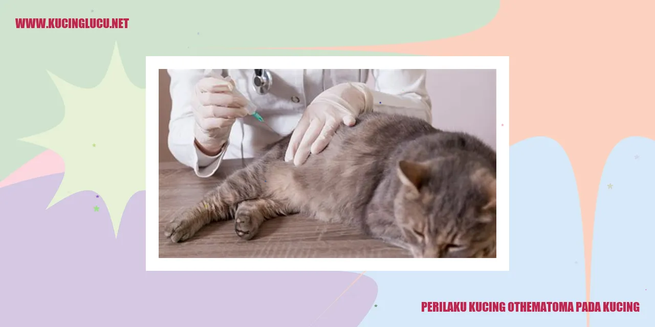 Perilaku Kucing Othematoma pada Kucing