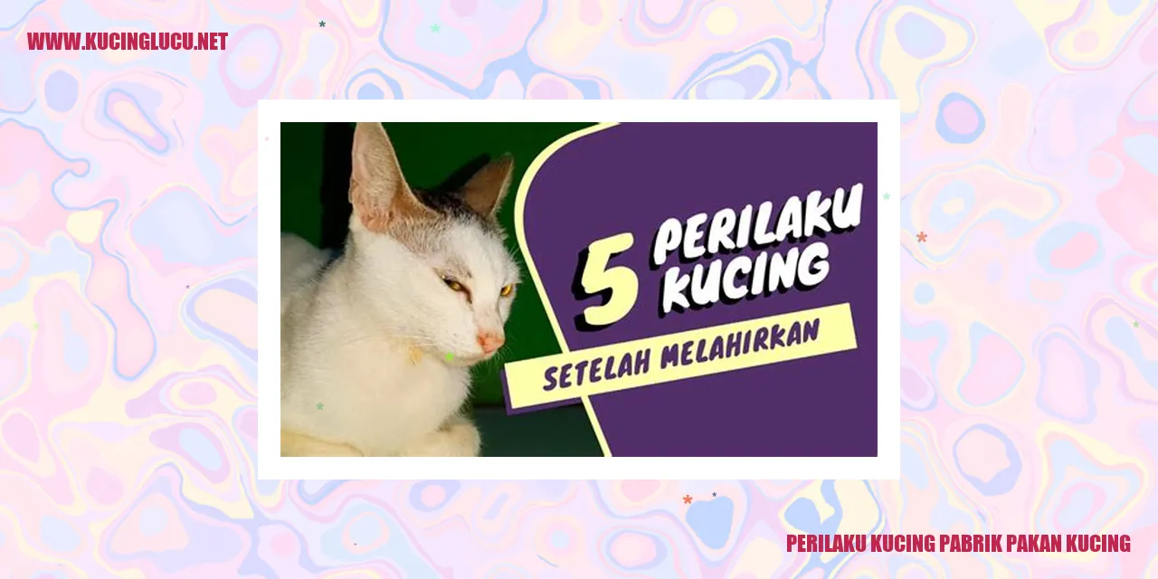 Perilaku Kucing di Tempat Produksi Makanan Kucing