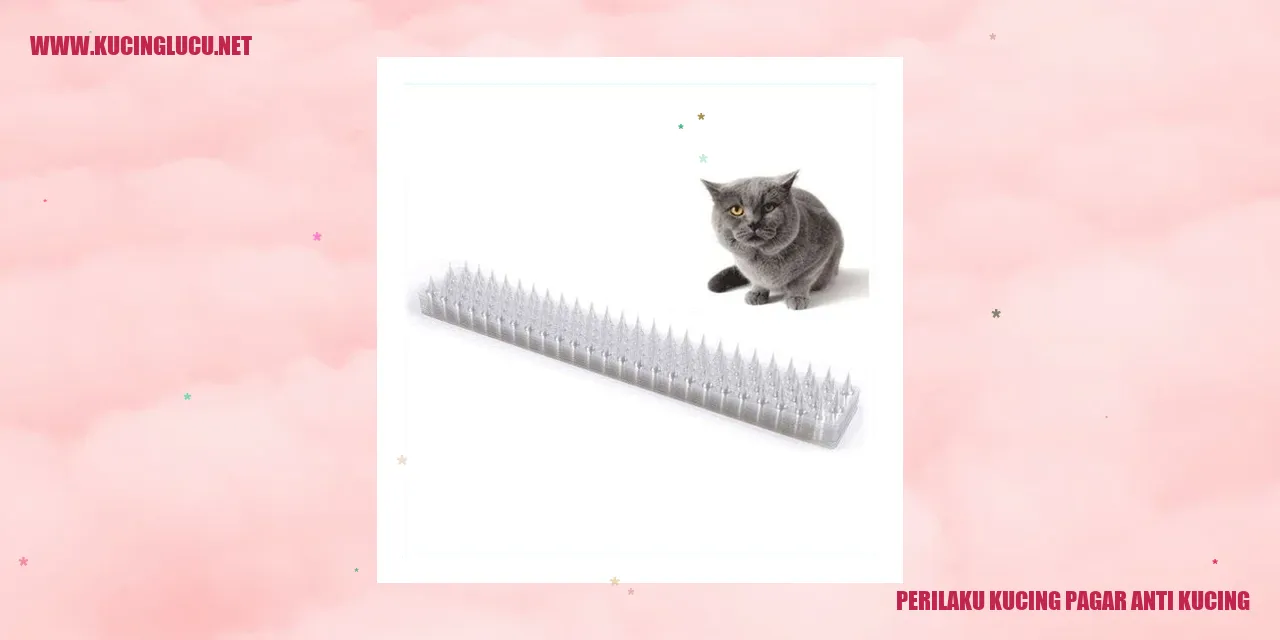 Perilaku Kucing Pagar Anti Kucing