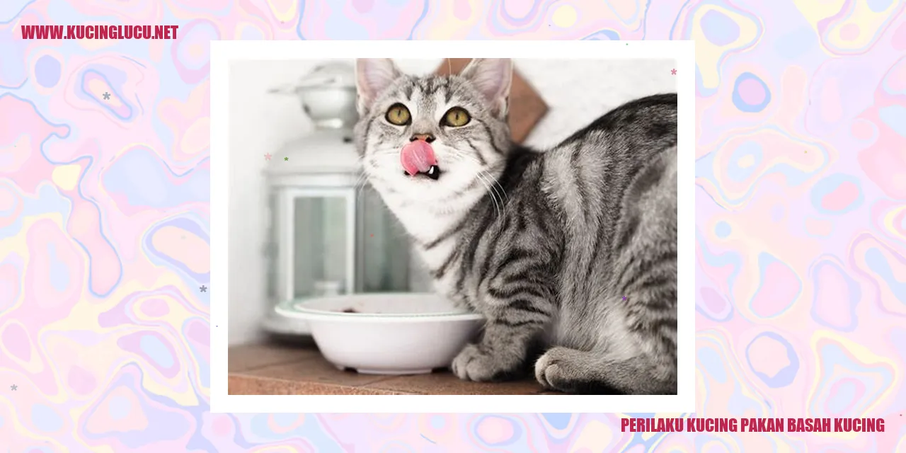 Perilaku Kucing Pakan Basah Kucing