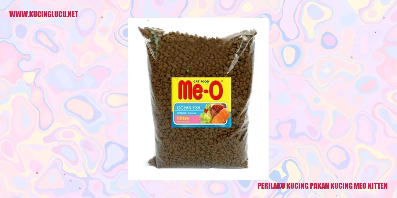 Perilaku Kucing Memakan Makanan Kucing Meo Kitten