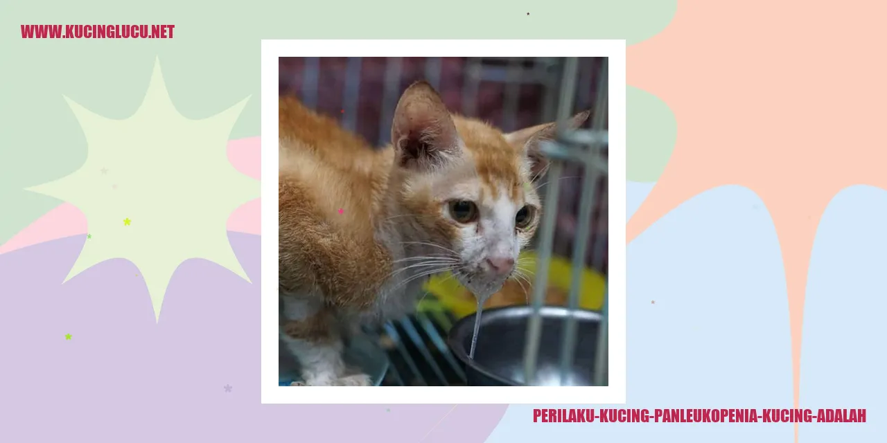 Perilaku Kucing Panleukopenia Kucing