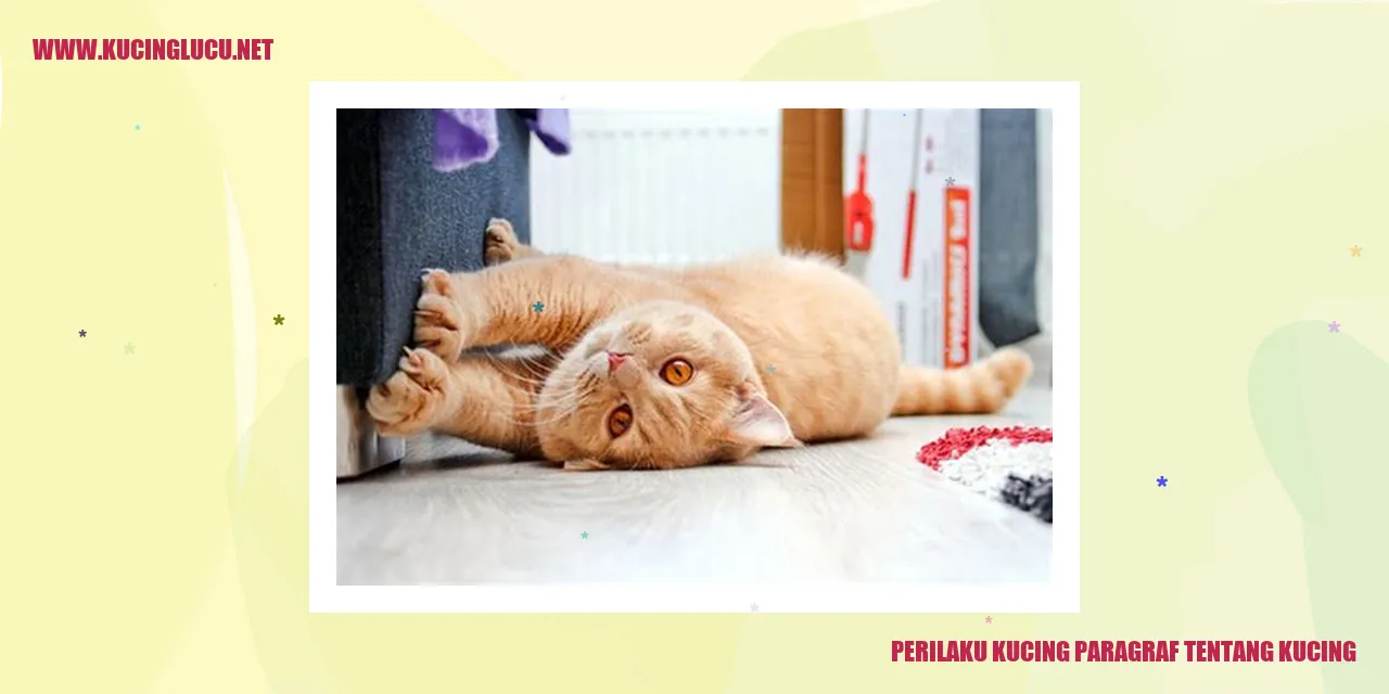 Perilaku Kucing Menggemaskan