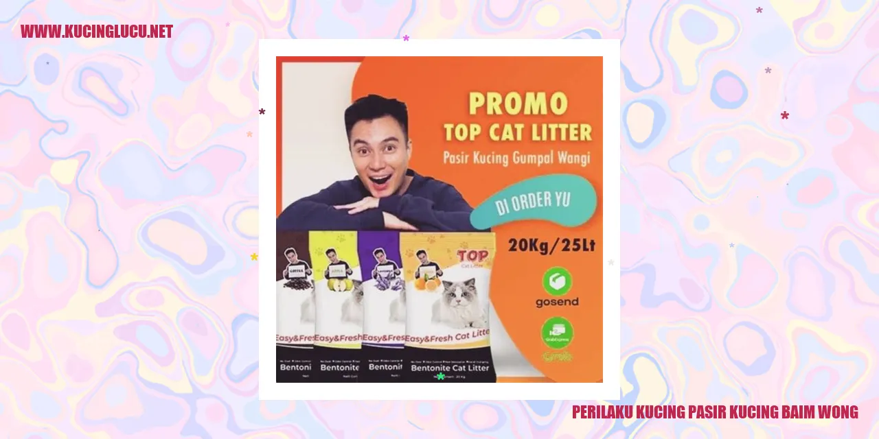 Kucing Pasir Kucing Baim Wong