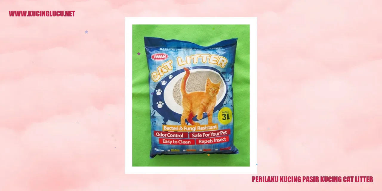 Kucing menggunakan pasir kucing cat litter