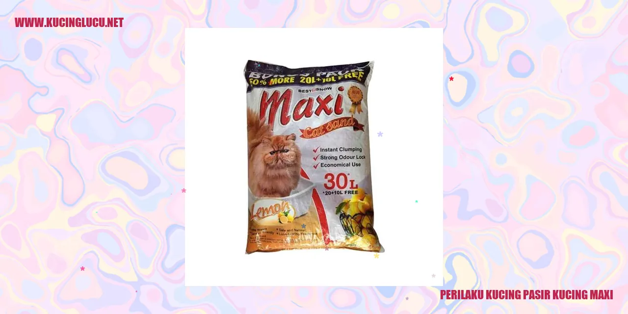 Kucing Pasir Kucing Maxi