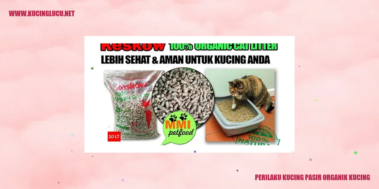 Perilaku Kucing Pasir Organik