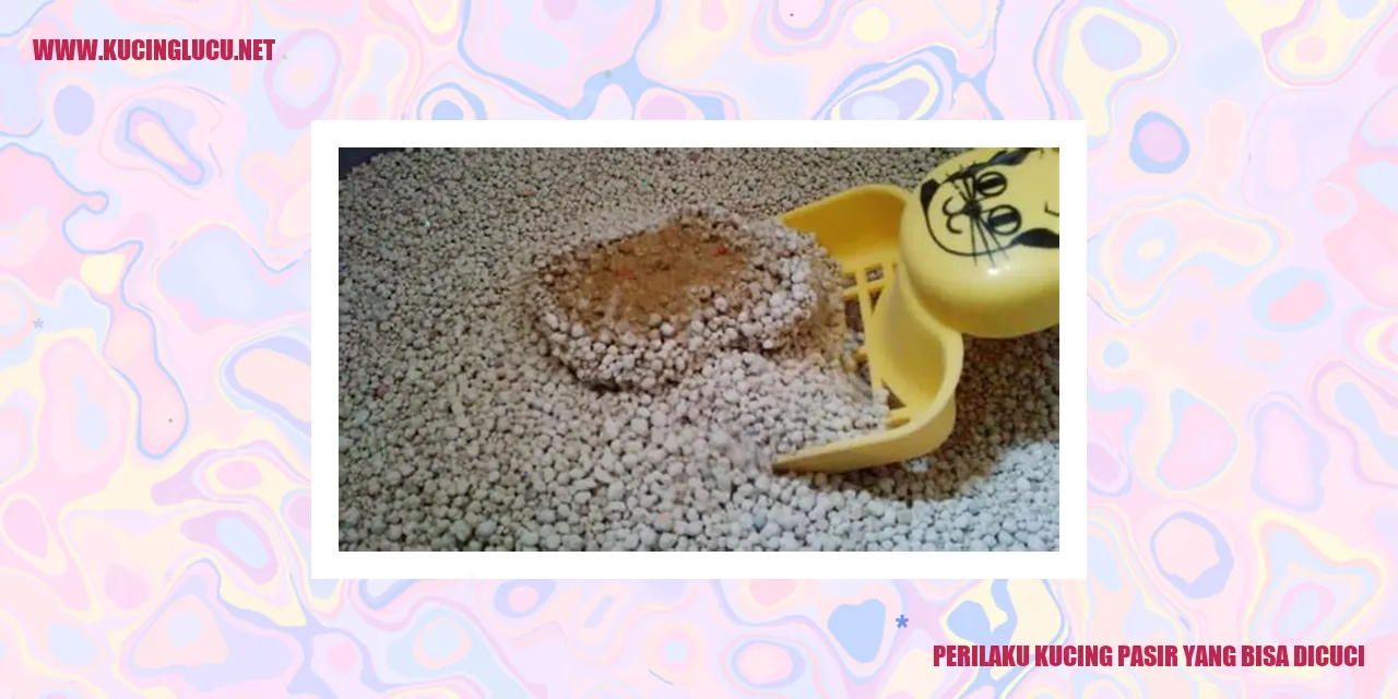 Kucing Pasir yang Dapat Dicuci