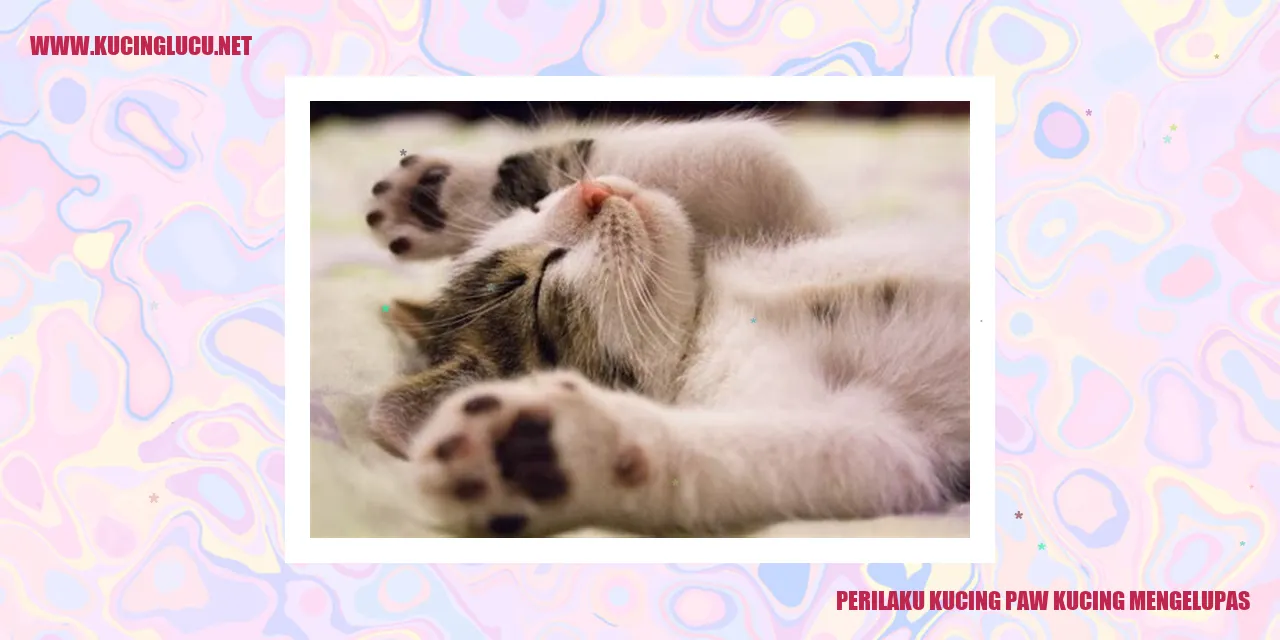 Gambar Kucing Mengelupas