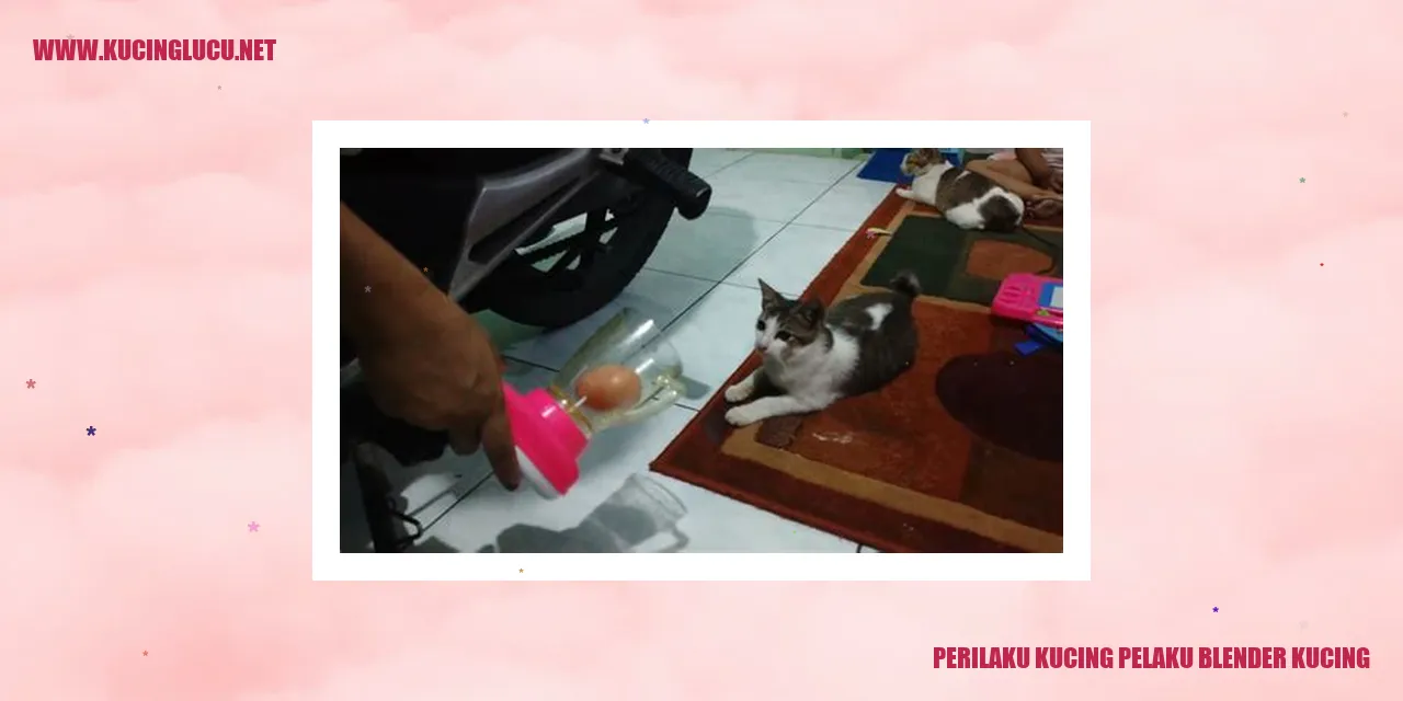 Kucing Menghadapi Blender