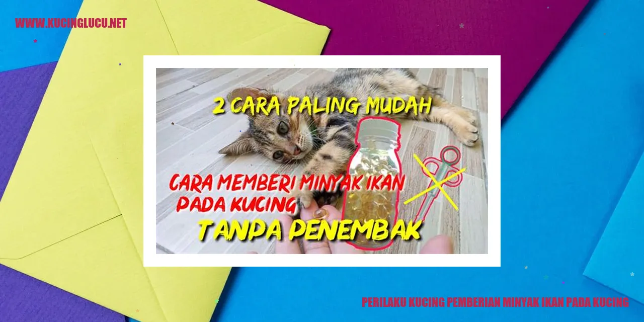 Perilaku Kucing pemberian minyak ikan pada kucing