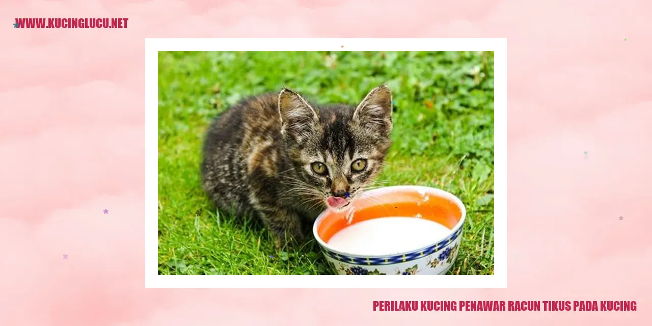Perilaku Kucing sebagai Pelawan Racun Tikus