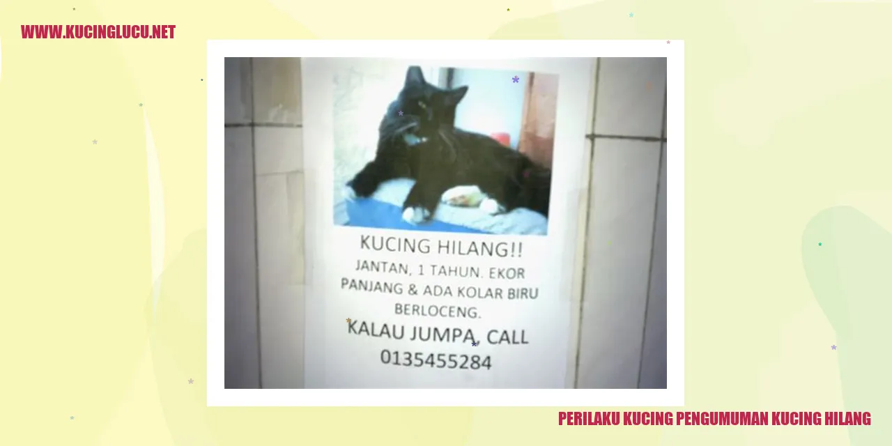 Gambaar: Kucing yang Hilang