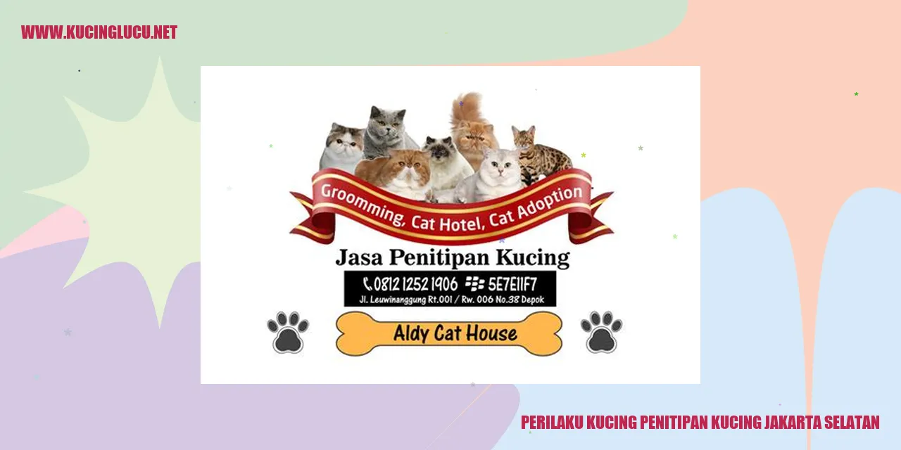 Perilaku Kucing di Penitipan Kucing Jakarta Selatan