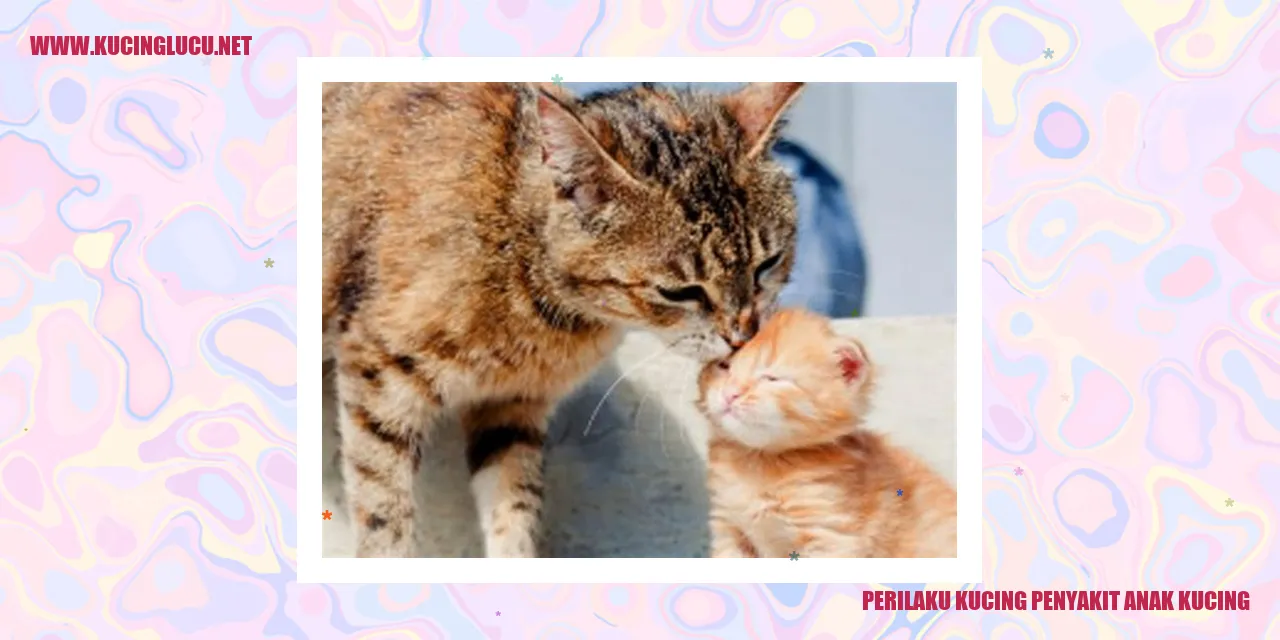 Perilaku Kucing penyakit anak kucing