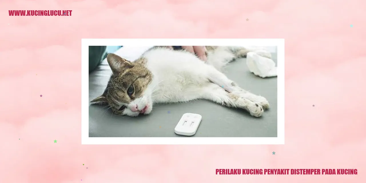 Perilaku Kucing Penyakit Distemper pada Kucing