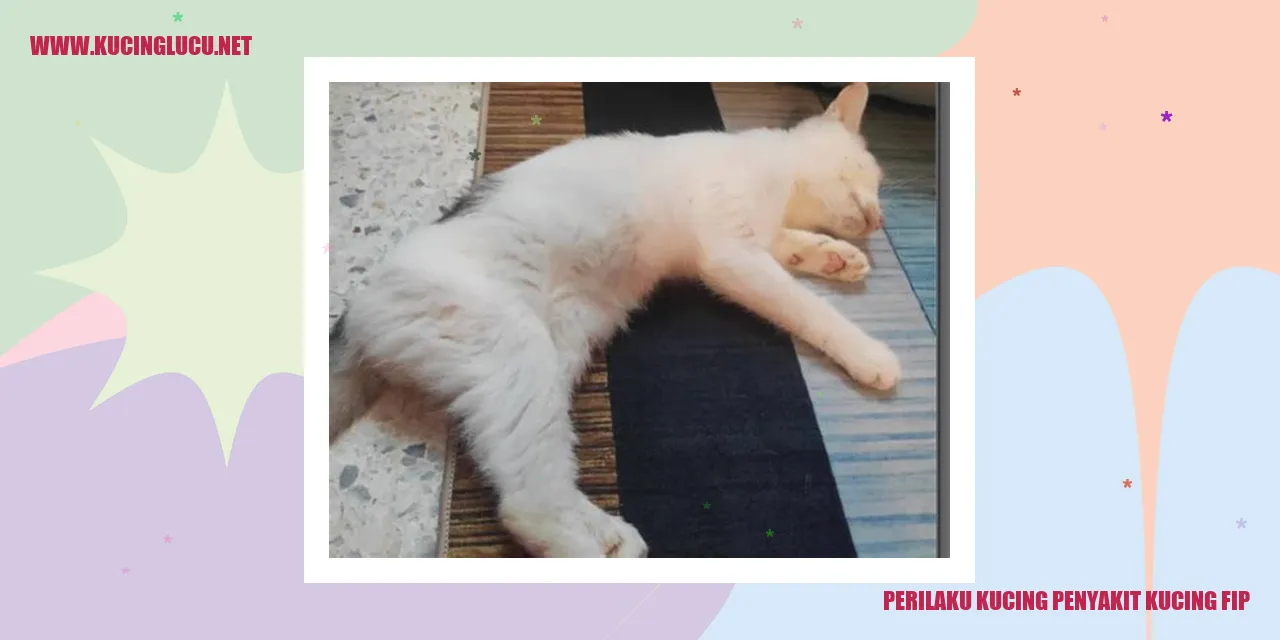 Perilaku Kucing Penyakit Kucing FIP