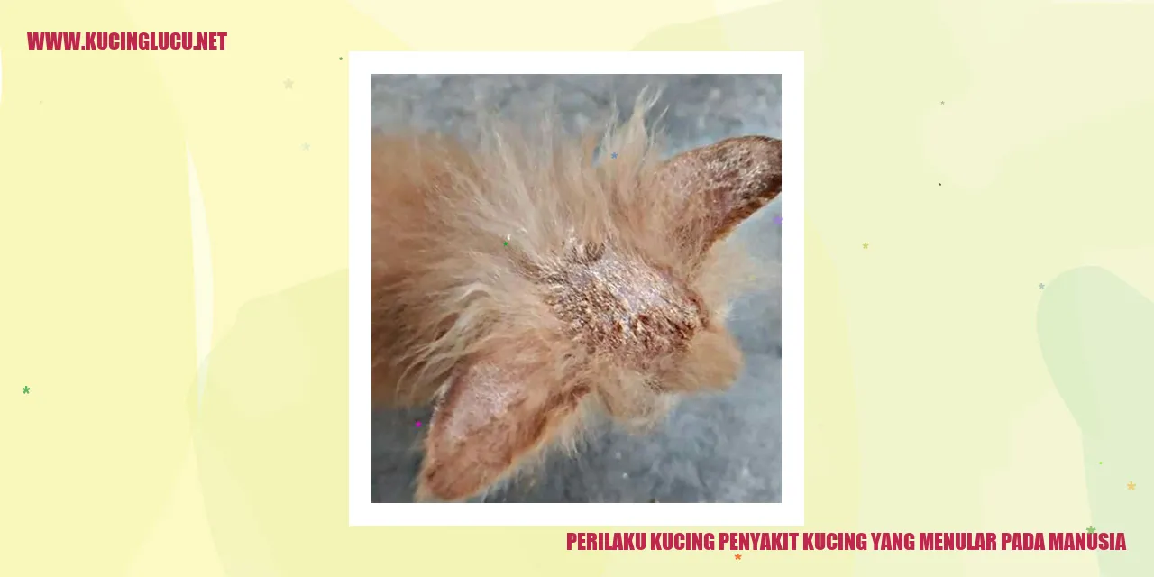 Perilaku Kucing dan Penyakit yang Menular pada Manusia