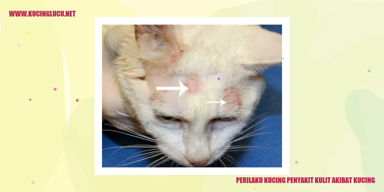 Gambar Kucing dengan Penyakit Kulit