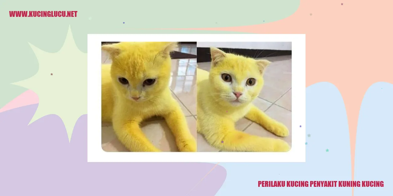 Gambar Kucing dengan Penyakit Kuning Kucing