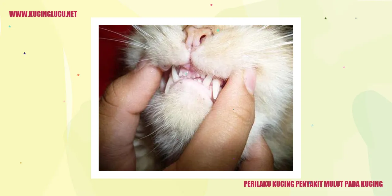 Perawatan Gigi dan Mulut Kucing