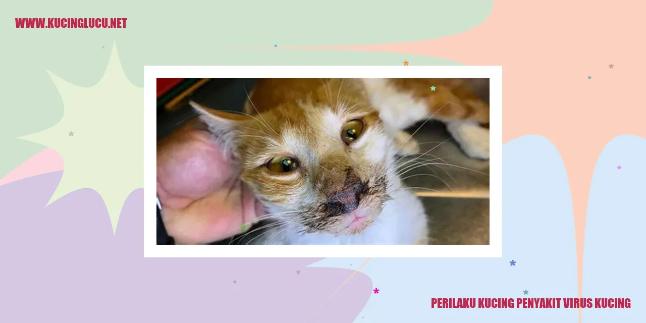 Gambar Kucing