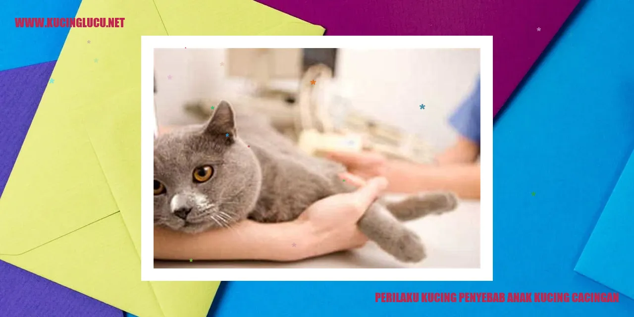 Perilaku Kucing