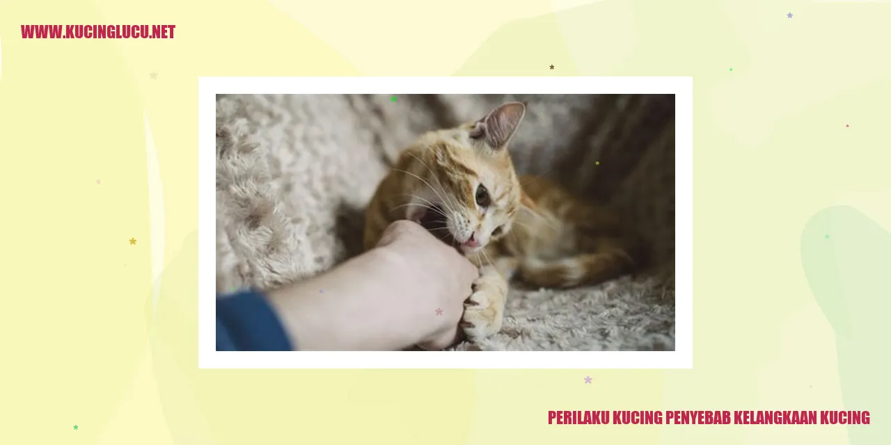 Perilaku Kucing penyebab kelangkaan kucing