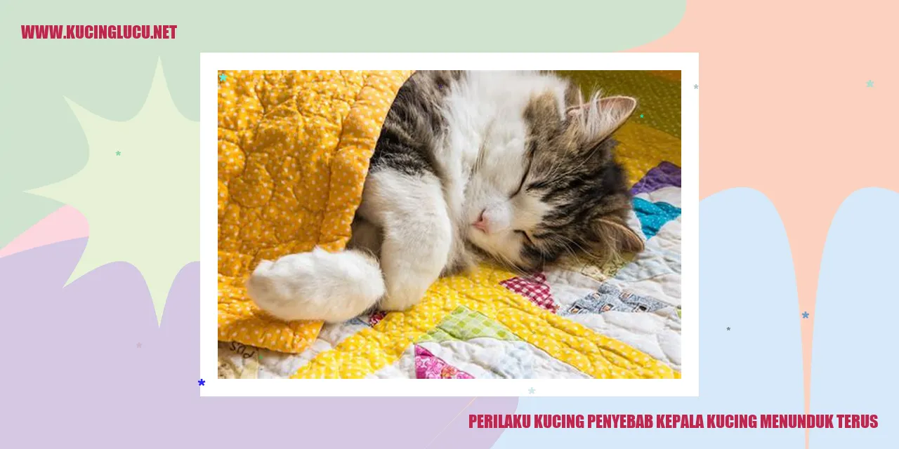 Perilaku kucing