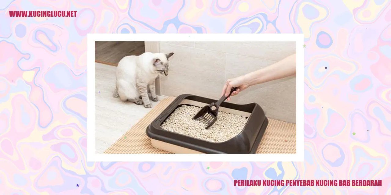 Perilaku Kucing