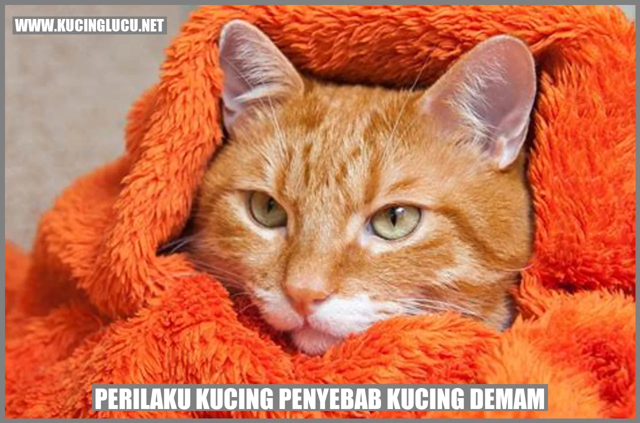 Gambar kucing demam