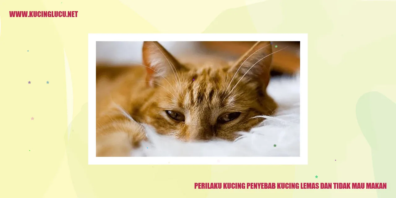 Perilaku Kucing