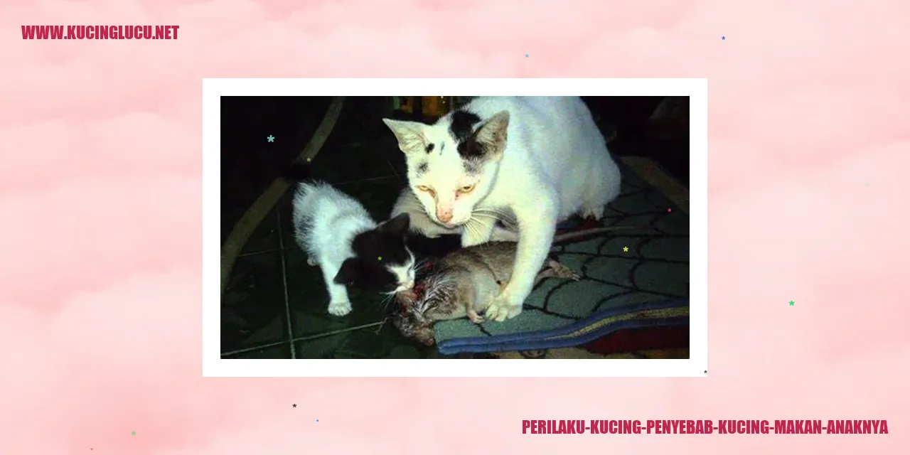 Kucing memakan anaknya