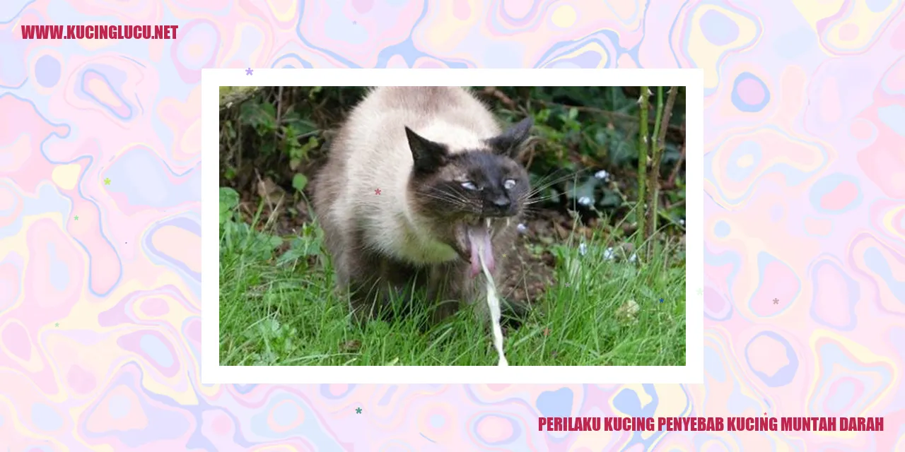 Kucing muntah darah