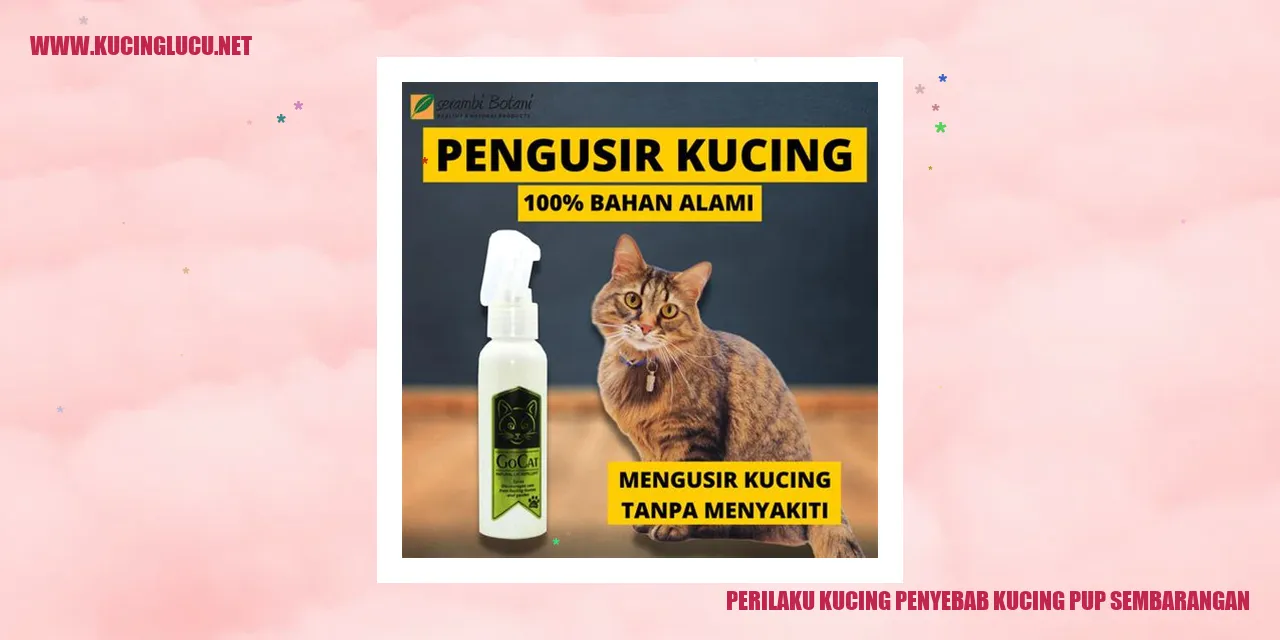Gambar: Perilaku kucing yang mengakibatkan kucing buang air sembarangan
